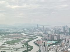 -瑞吉酒店·The Drawing Room闲逸廊·云端下午茶·夜奢Whiskey