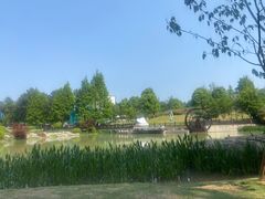 -铁山坪森林公园