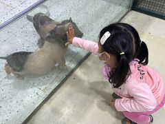 -上海大自然野生昆虫馆(东方明珠·爬宠昆虫探索中心)