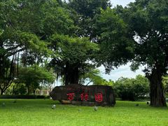 -万绿园
