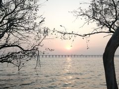 -宝安西湾红树林湿地公园