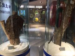 -上海昆虫博物馆