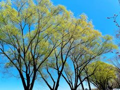 -孔乙己(后海店)