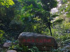 -广州市流溪河国家森林公园