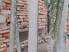 -北京植物园-展览温室