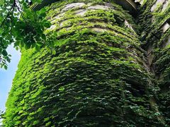 -北京张裕爱斐堡酒庄