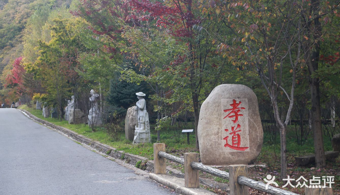 初见枫叶，并不满足