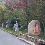初见枫叶，并不满足