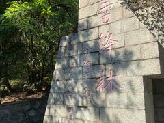 -高尔山公园