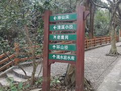 -滴水岩森林公园