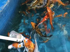 -秦皇岛新澳海底世界