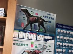 -关爱宠物医院·猫科中心·消化科(滨湖万达分院)