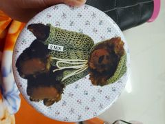 android_upload_pic-珍妮曲奇聪明小熊(尖沙咀店)