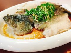 -盛记顺德高佬猪杂粥