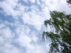 -南翔镇银翔湖公园