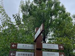 -佛慧山