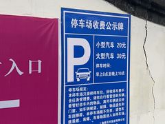 -南汇桃花村