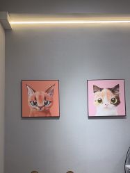 -洗脸猫·洗脸吧