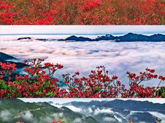 -永州阳明山国家森林公园