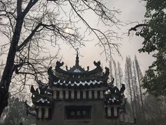 -习家池