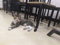 -玉椰林甜品店(创始店)