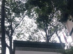 -韬光茶庵