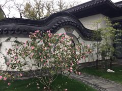 -杭州西湖柳莺里酒店