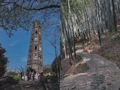 -上海佘山国家森林公园天马山园