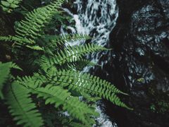 -藏龙百瀑风景区