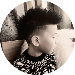 -V-STAR威斯达•高级私人定制