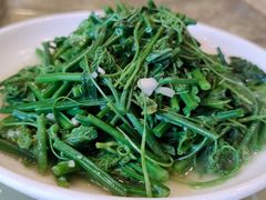 龙须菜-群乐饭店(滨安路店)