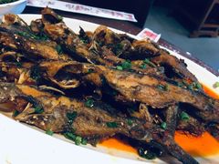 -颜氏双江清水鱼一养身火锅(磁器口店)