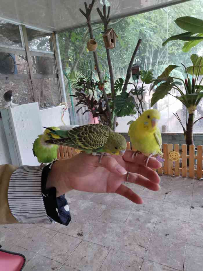 角蛙爸爸农场-"[呲牙][呲牙]我们又双叒叕来了![爱]."-大众点评移动版