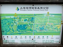 -上海海湾国家森林公园