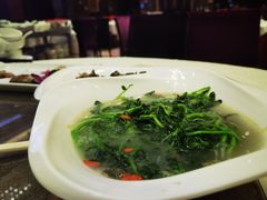 -新世纪大酒楼·30年南海菜