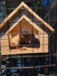 -酷嗒动物文化乐园(cutezoo西溪乐天城店)