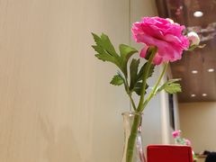 -海底捞火锅(奥森店)