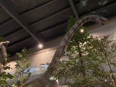 -湖南省地质博物馆