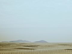 -北岐滩涂