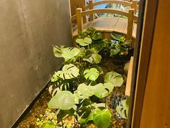 -邈墨茶馆(凤起路店)