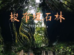 -梭布垭石林景区