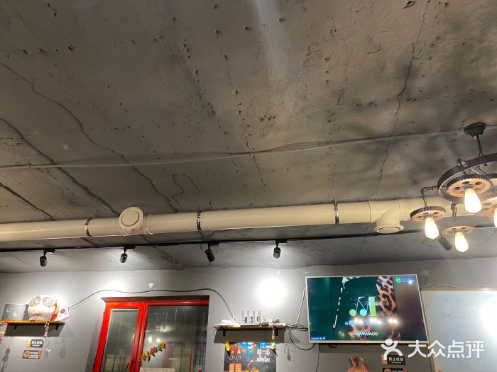 猫头鹰炸鸡图片