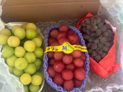 -马陆小张葡萄园农家乐