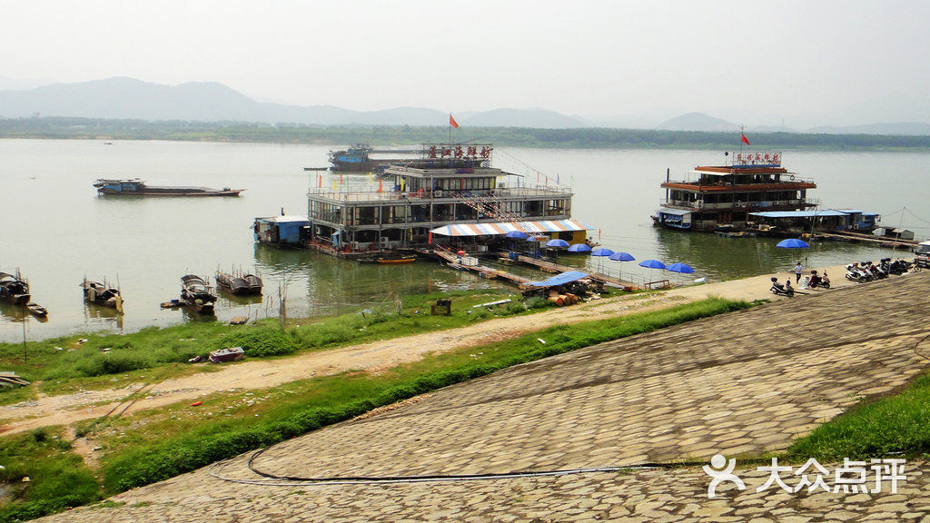 芦江海鲜舫北江和顺鱼图片-北京海鲜-大众点评网