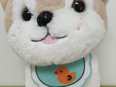 -小象猛犸(炫地购物中心店)
