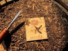 -大可堂普洱茶馆(襄阳南路馆)