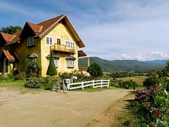-黄色小屋