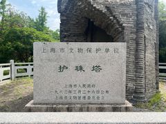 -上海佘山国家森林公园天马山园