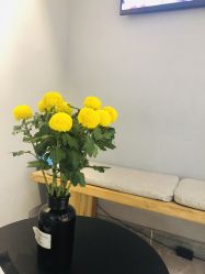 -OM瑜伽教练培训学院