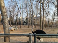 -大连森林动物园